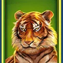 Wild Cats Multiline Paytable Symbol 9
