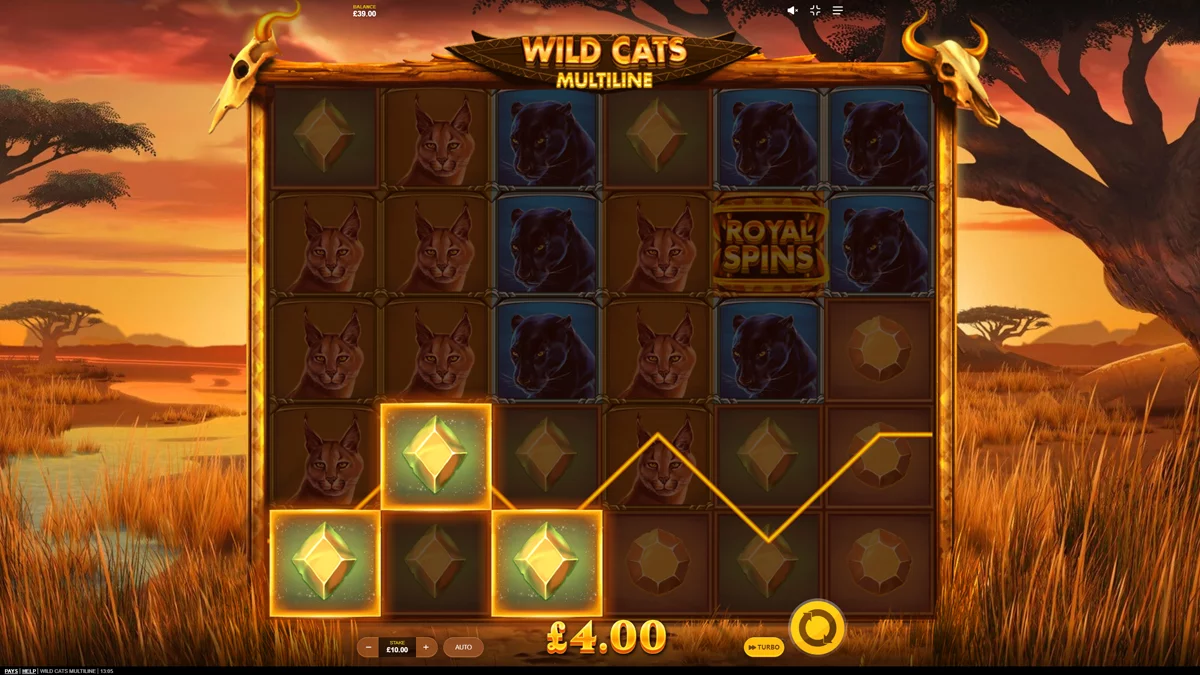 Wild Cats Multiline Win