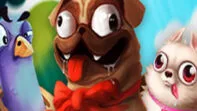 Animals Slot Theme