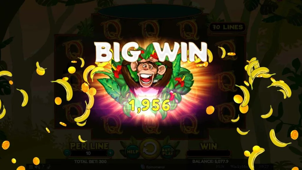 Wacky Monkey Big Win