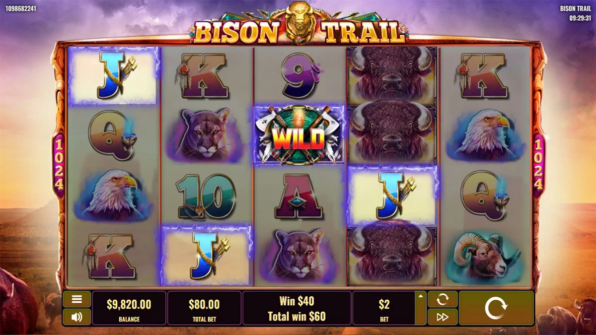Bison Trail Small Win