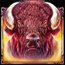 Bison Trail Symbol Buffalo