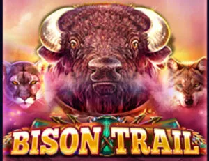 Bison Trail Thumbnail