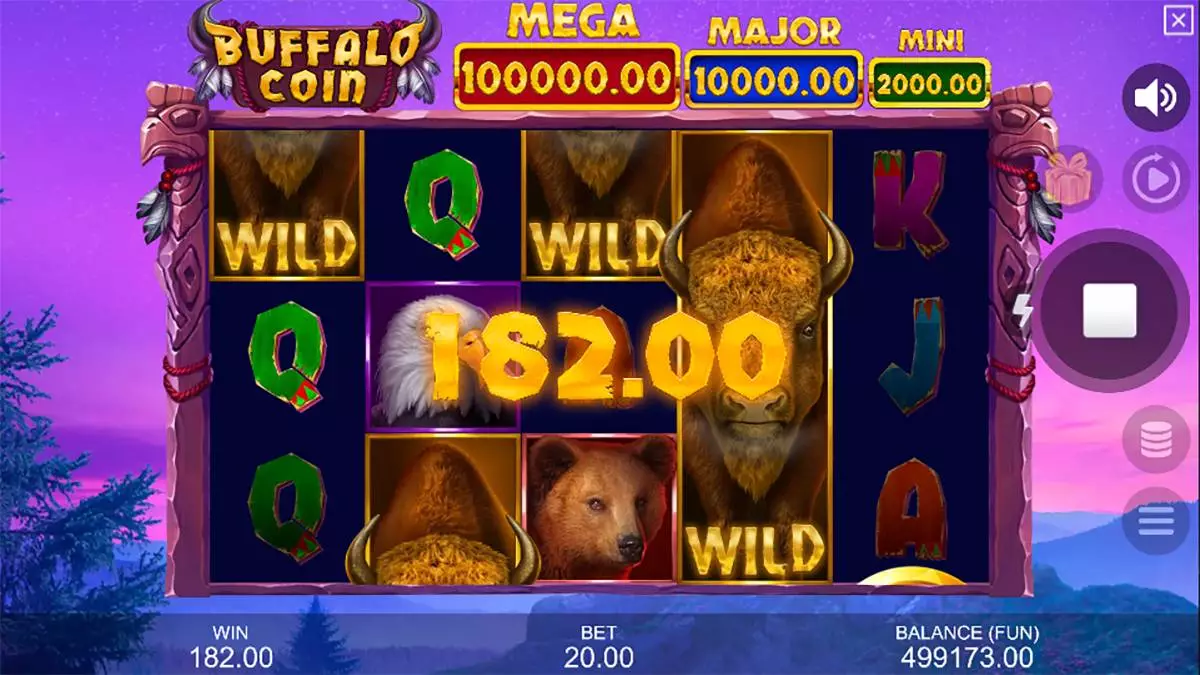 Buffalo Coin Hold The Spin Wild Win