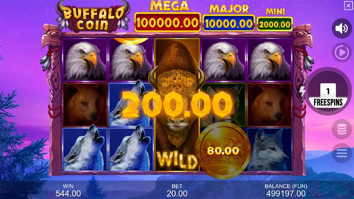 Buffalo Coin Hold The Spin Win