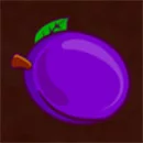 Fenix Play 27 Deluxe Symbol Plum