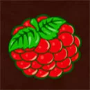 Fenix Play 27 Deluxe Symbol Raspberry