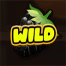 Fruit Duel Wild
