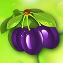 Fruity Mania Paytable SYmbol 4