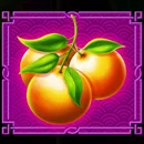 Lucky New Year Paytable Symbol 5
