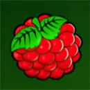 Magic Fruits Deluxe Symbol Raspberry