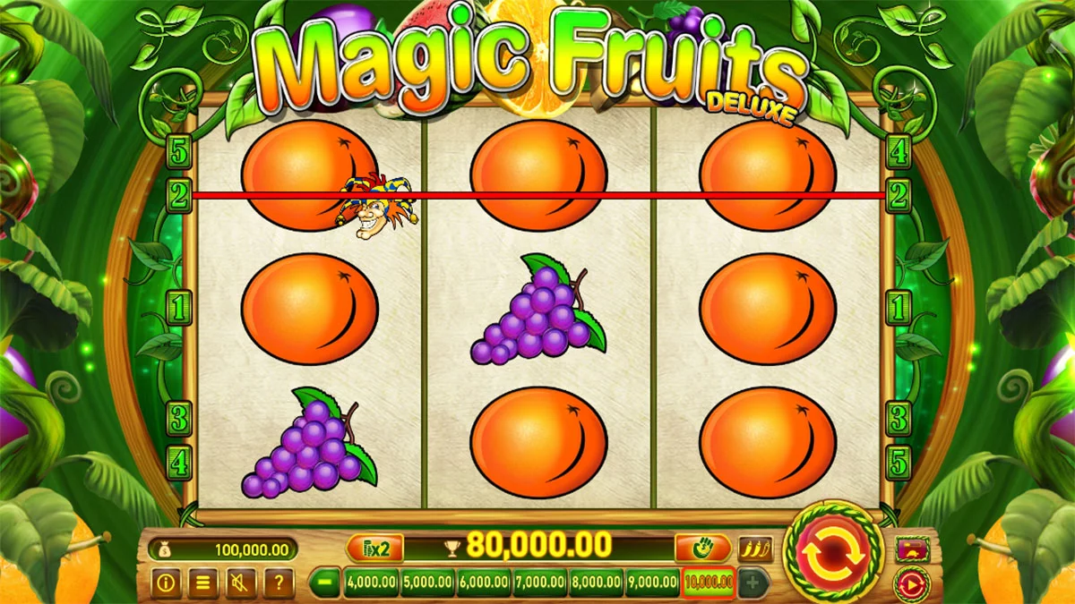 Magic Fruits Deluxe Win