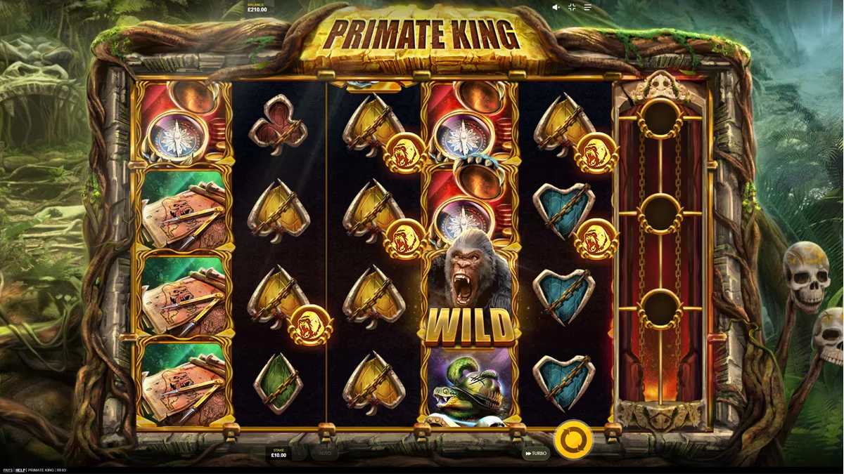 Primate King Base Play