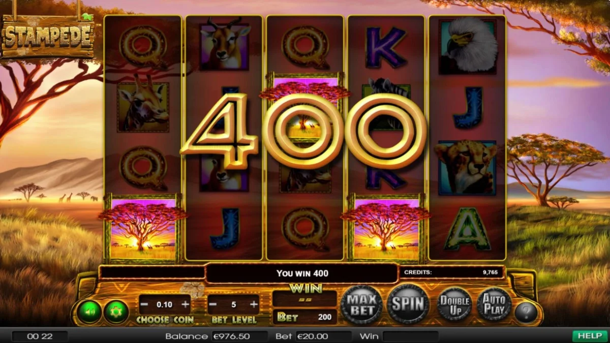 Stampede Slot Big Win