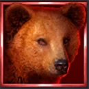 Buffalo Coin Hold The Spin Symbol Bear