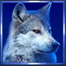Buffalo Coin Hold The Spin Symbol Wolf