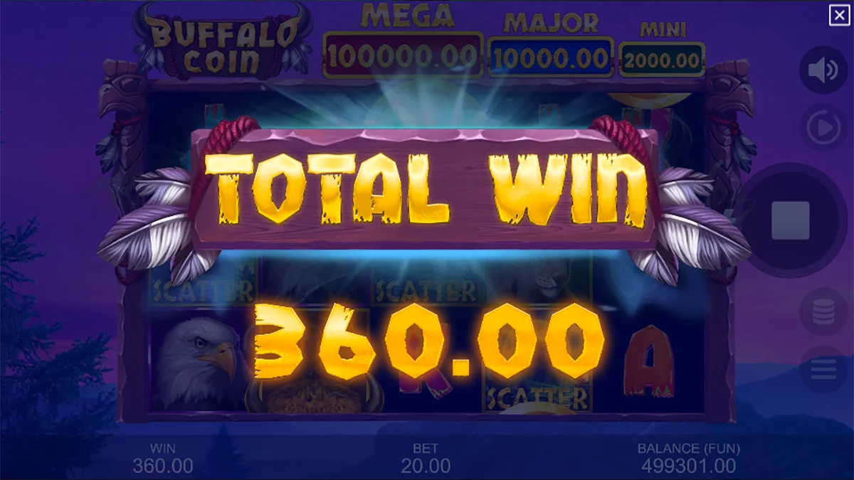 Buffalo Coin Hold The Spin Total