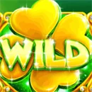 Lucky Wizard Paytable Symbol 9