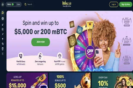 Winz.io Desktop Video Review