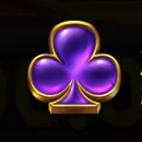 Wild Wild Riches Paytable Symbol 2