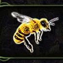 3 Butterflies Paytable SYmbol 2