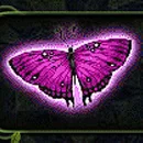 3 Butterflies Paytable SYmbol 4