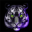 Chinese Tigers Symbol Dark