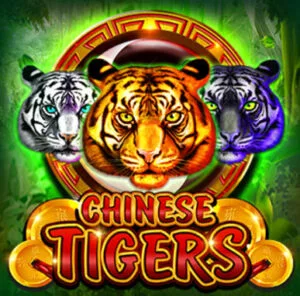 Chinese Tigers Thumbnail
