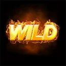 Hot & Win Paytable Symbol 9
