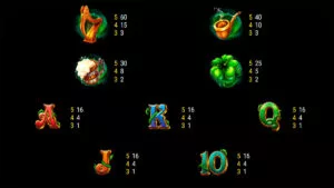 Leprechaun’s Coins Paytable