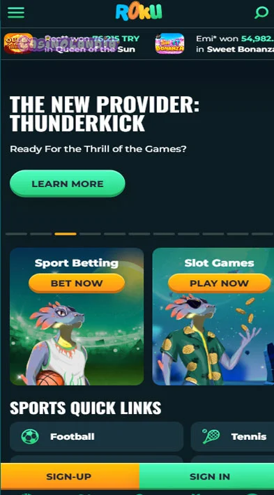 Mobile View roku