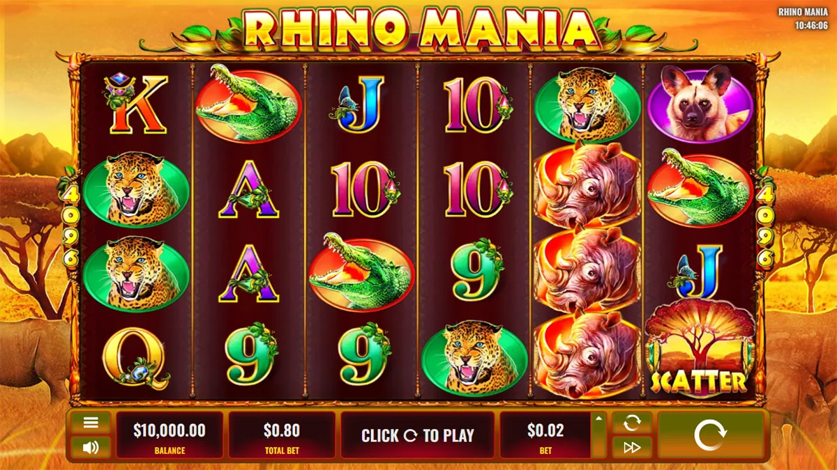 Rhino Mania Base