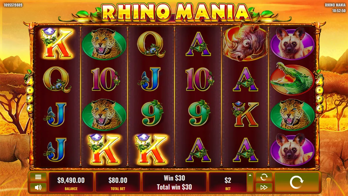 Rhino Mania Small Win