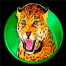 Rhino Mania Symbol Cheetah