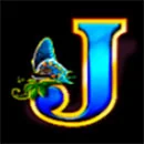 Rhino Mania Symbol J