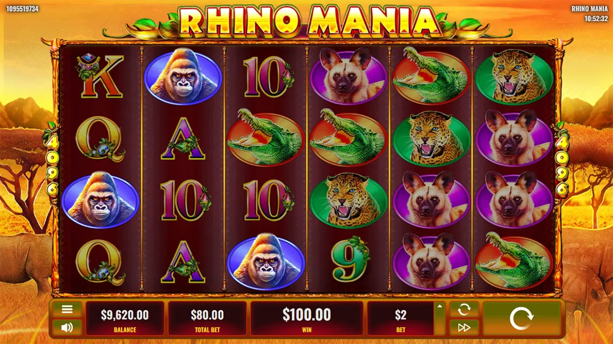 Rhino Mania Win