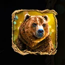 Wild Animals paytable SYmbol 11