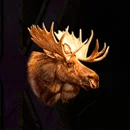 Wild Animals paytable SYmbol 7