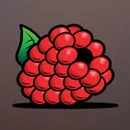 Win4Winner Paytable Symbol 5