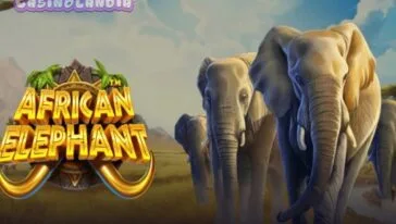 African Elephant by Pragmatic Play