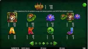 Into the Jungle Paytable