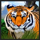 Deep Jungle Paytable Symbol 5