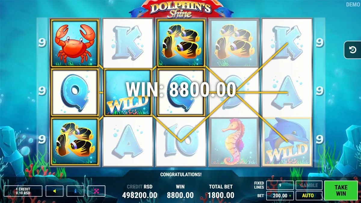 Dolphins Shine Win