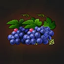 Multi Hot 5 paytable symbols 9