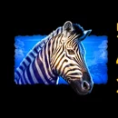 Savage Lion Paytable Symbol 5