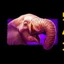 Savage Lion Paytable Symbol 6