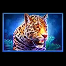 Volcano Rising Paytable Symbol 8