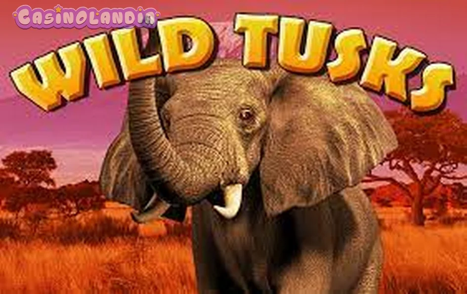 Wild Tusks by High 5 Games