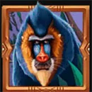 Safari Sun Symbol Monkey
