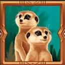 Safari Sun Symbol Prearie Dog